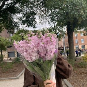 Meet your Posher, Bella